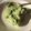 miponnu's cooksnap of when they made 絹豆腐　de　レアチーズケーキ♪.