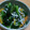 さんろくす's cooksnap of when they made 簡単副菜！小松菜の彩り和え.