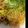 ぷくぴろ's cooksnap of when they made ウェイパーde中華風焼きそば.