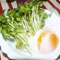 Satoco❋'s cooksnap of when they made 1分で出来る☆シンプルかいわれサラダ.