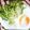 Satoco❋'s cooksnap of when they made 1分で出来る☆シンプルかいわれサラダ.