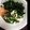 shoil's cooksnap of when they made 白子ポン酢.