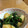 Gmozo's cooksnap of when they made 新じゃがとかぶの炒め物.