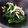 みちゃコ's cooksnap of when they made 簡単♪ほうれん草のしらす麺つゆ和え.