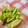 fujino121's cooksnap of when they made ＊白菜と胡瓜の中華風サラダ＊.