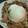dahadruoe's cooksnap of when they made すき焼き風うどん♡.