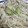 Berry苺's cooksnap of when they made もやしとアスパラの塩炒め.