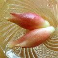 おうちゃん母さん's cooksnap of when they made みょうがの甘酢漬け.