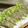 Satoco❋'s cooksnap of when they made チーズの海苔巻き　うに風味.