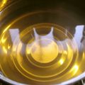 Rick_t's cooksnap of when they made うどんのだし.