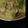 kiaaa's cooksnap of when they made キャベツと豚バラ肉の重ね蒸し.