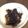 ayuness's cooksnap of when they made めんつゆで♪ひじき煮.