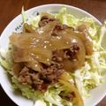 ふ〜あちゃん's cooksnap of when they made キャベツdeヘルシー牛丼.