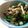 soratea's cooksnap of when they made ピーマンと小女子のバター炒め★.
