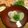 ｊｏｃｏｍｏｍｏｌａ's cooksnap of when they made はまぐりと菜の花のお吸い物.