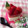 いっくんママン☆'s cooksnap of when they made とろ～りいちごとぷるぷるミルクゼリー.