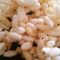 白いすみれ's cooksnap of when they made アメリカン！　キャラメルぽん菓子.