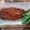 ウィリーママ's cooksnap of when they made 骨元気！いわしの甘酢煮.