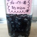 プゥコパン's cooksnap of when they made ✿ブルーベリーのお酒✿.