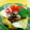 ひなさわん's cooksnap of when they made きのこと鮭のひな祭り茶巾寿司.