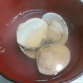 ほてまる's cooksnap of when they made はまぐりのお吸い物.