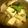 チェビ's cooksnap of when they made めんつゆで高野豆腐の煮物（含め煮）.