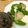 ぬいぐるみたっくん's cooksnap of when they made ホタテと豆腐のあっさり煮.