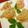 ◇Yurico◇'s cooksnap of when they made おせち料理☆花びら餅風彩なます　.