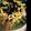 まえまえあき's cooksnap of when they made 簡単！鮭フレークでちらし寿司.