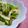 mikkusan's cooksnap of when they made ★簡単手間なし！アスパラとエリンギ炒め★.