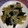 ママは給食当番's cooksnap of when they made うどとワカメの和風サラダ.