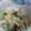 けいぽむ03's cooksnap of when they made レンジで５分★みつばともやしの和え物.