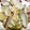 Satoco❋'s cooksnap of when they made うまい！簡単！　あさりの酒蒸し.