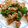 horseland's cooksnap of when they made お弁当用♪豚のしょうが焼き.