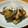 ハゼラン's cooksnap of when they made 激ウマ★さんまの蒲焼♪.