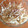 ともも366's cooksnap of when they made エノキの梅肉合え.