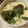 demy427's cooksnap of when they made お手軽☆茶碗蒸し.