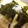ｅｃｈｏｅｃｈｏ's cooksnap of when they made 筍とわかめの煮物.