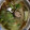 やき海苔's cooksnap of when they made 簡単！和風丸ごとレタス鍋♪.
