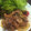 みかんゆか's cooksnap of when they made ちょっと甘めの♡タレたっぷりしょうが焼き.