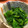 ピロリッチ's cooksnap of when they made めっちゃ簡単♪菜の花のからし和え.