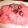 アッコッコ's cooksnap of when they made 北海道の御赤飯.