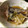 がじゅべりー's cooksnap of when they made 小あじの圧力鍋煮※南蛮漬け風.