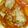 ゆきこH's cooksnap of when they made 鶏手羽元のトマトソース煮込み.