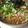 CoffeeCoco's cooksnap of when they made ５分で出来る♡ちくたま丼.