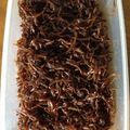 marty99's cooksnap of when they made 我が家のいかなごの釘煮.