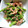チョコミントまま's cooksnap of when they made 菜の花と豚肉のからしマヨネーズ炒め.