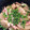 〜tinr～'s cooksnap of when they made 大根とイカの煮物.