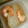 もりのりころ's cooksnap of when they made かぶとエビのとろ〜り煮.
