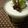 がっこいぶり's cooksnap of when they made かぼちゃココナッツムース.